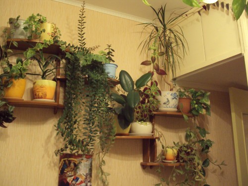 DSC00035.JPG