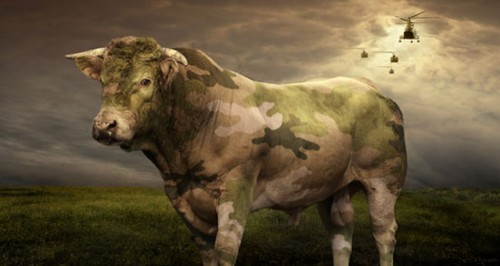 cow-l.jpg (75.25 КБ) 3836 просмотров cow-l.jpg