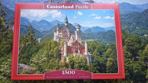 9865520.jpg