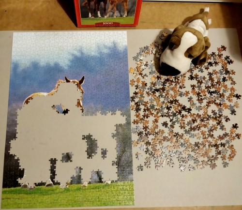 IMG_20180103_123720.jpg (1.4 МБ) 1963 просмотра IMG_20180103_123720.jpg