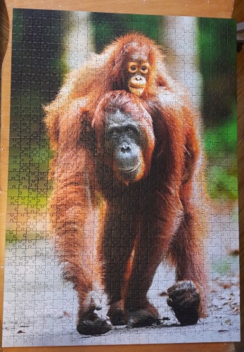 20180104_143928 - копия.jpg