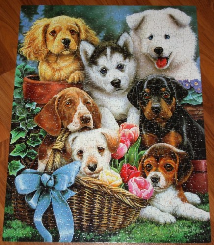 IMG_7459a.JPG (582.73 КБ) 1886 просмотров IMG_7459a.JPG