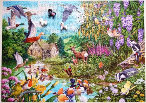 край воды.jpg