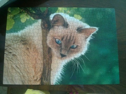 Step puzzle 560 (Animal collection - Синеглазая красавица) -05.2017.jpg (184.14 КБ) 1273 просмотра Step puzzle 560 (Animal collection - Синеглазая красавица) -05.2017.jpg