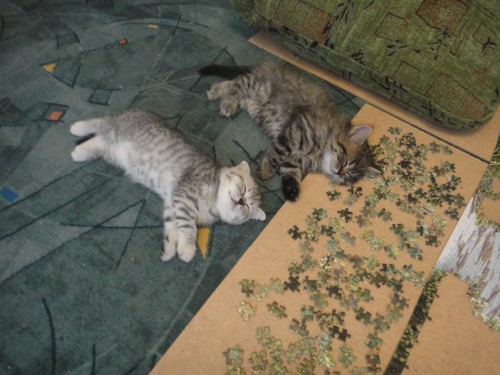 DSC00326.JPG