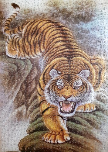 Puzzle Life-1000-Tiger-1168.jpg