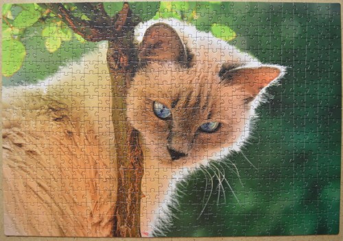 Синеглазая_красавица.JPG (381.79 КБ) 1209 просмотров Синеглазая_красавица.JPG