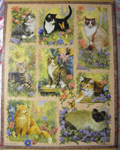 DSC_0019.JPG (499.64 КБ) 2467 просмотров DSC_0019.JPG