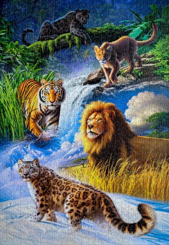 Big cats # Большие кошки, 1000 (Castorland C-103553).jpg (516.46 КБ) 2055 просмотров Big cats # Большие кошки, 1000 (Castorland C-103553).jpg