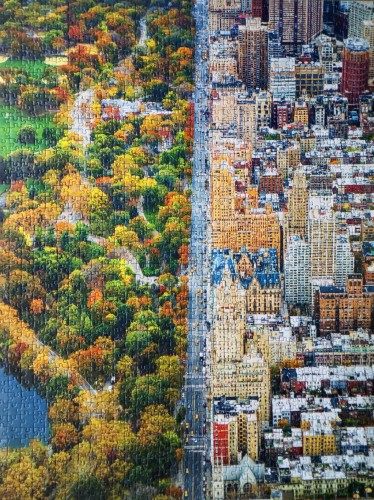 темма.jpg (1.39 МБ) 1729 просмотров темма.jpg