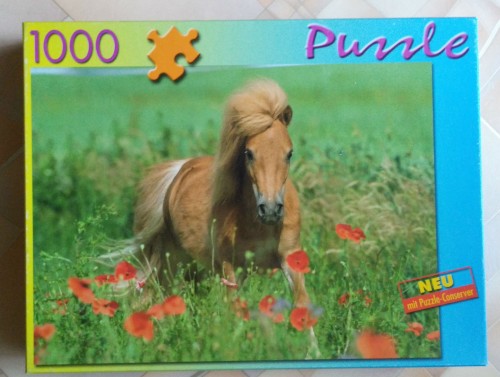 Bookmark Verlag 1000 Horse in poppy field.jpg