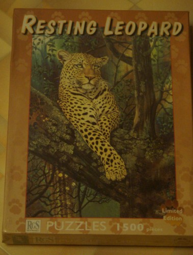 RGS Group 1500 Resting leopard.jpg