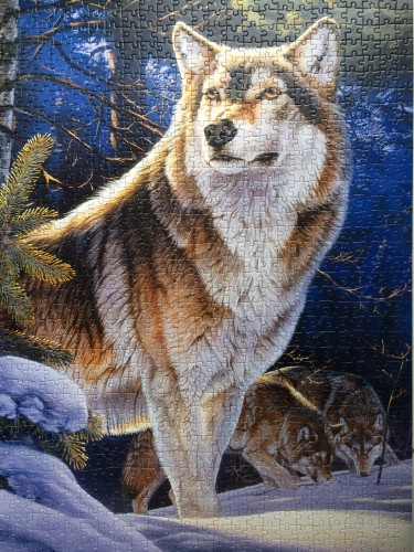 IMG_3137.JPG (2.67 МБ) 1275 просмотров IMG_3137.JPG