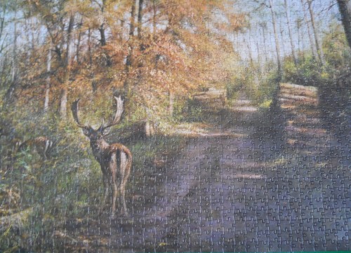 DSCN0841.jpg