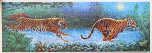 Tigers, 1000 (39028).JPG