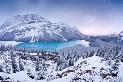 peyto5.jpg