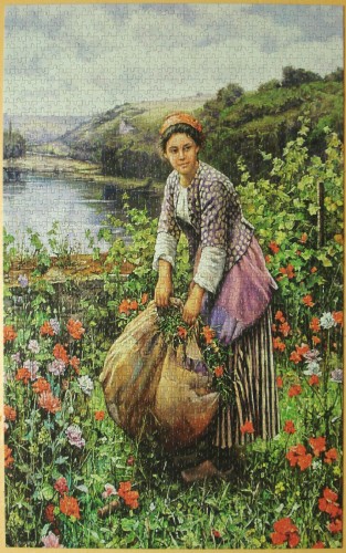 Сборщица травы 1500.jpg.JPG