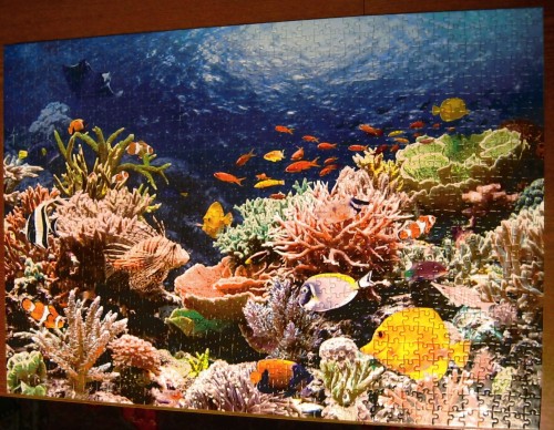 Кастор, 1000 эл., коралловый риф.JPG