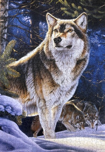 0D36E24C-ACE4-42DE-9B8B-2D99BC6681BD.jpeg (1.34 МБ) 1079 просмотров 0D36E24C-ACE4-42DE-9B8B-2D99BC6681BD.jpeg