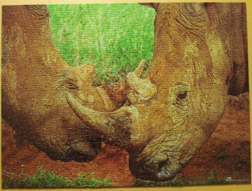Носороги 1000.jpg.JPG