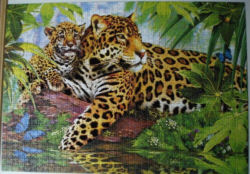 DSC007243.JPG (1.77 МБ) 6204 просмотра DSC007243.JPG