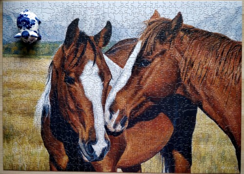 IMG_20190106_124158.jpg (2.21 МБ) 1773 просмотра IMG_20190106_124158.jpg