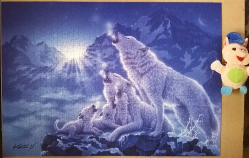 WP_20190114_013 (2).jpg