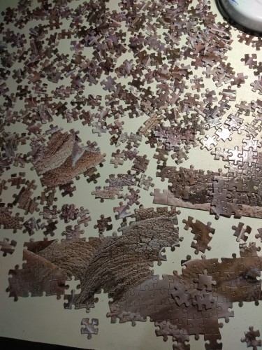 1549064133935313156057.jpg