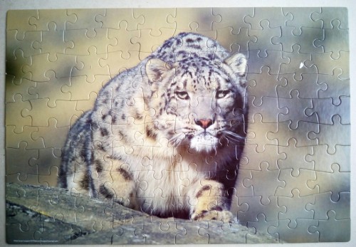 Snow leopard/ Снежный леопард, 100