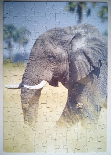African Elephant/ Африканский слон, 100