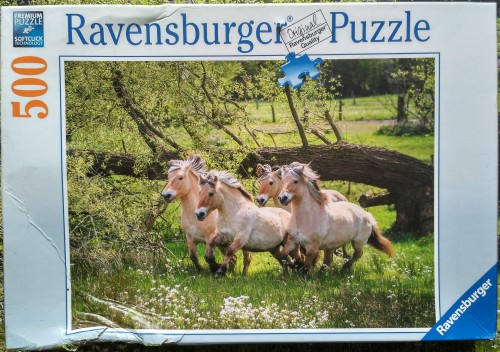 _500_Ravensburger_147724_.jpg