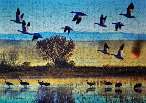 DSC_0954символ.jpg (1.99 МБ) 1565 просмотров DSC_0954символ.jpg