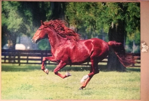 IMG_20190228_085616_Fotor.jpg (346.91 КБ) 1526 просмотров IMG_20190228_085616_Fotor.jpg