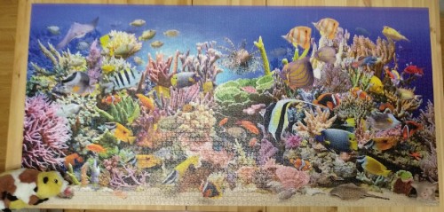 IHsBhGlyhEA.jpg (518.13 КБ) 796 просмотров В общем, тут есть свинья обычная, и свинья... морская :D ахаха, каламбуры в моём стиле, да :)