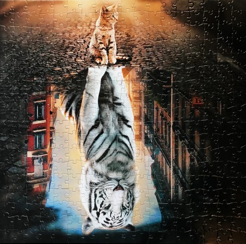 IMG_0366.jpg (2.7 МБ) 2821 просмотр IMG_0366.jpg