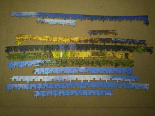 00005IMG_00005_BURST20190410223312 (2).jpg