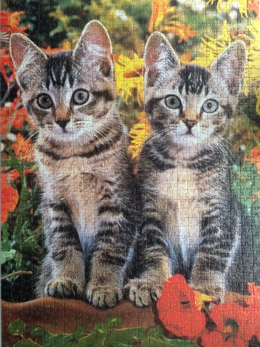 IMG_4765.JPG (2.66 МБ) 1739 просмотров IMG_4765.JPG