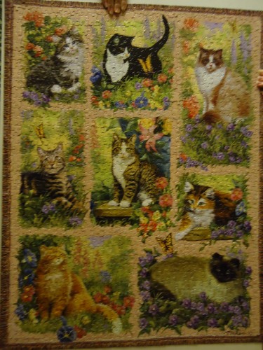 DSC02250.jpg (3.26 МБ) 4147 просмотров DSC02250.jpg