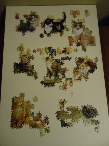 DSC02238.jpg (2.41 МБ) 4147 просмотров DSC02238.jpg