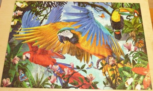 Попугаи, 1000.JPG