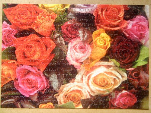 DSC00336.JPG
