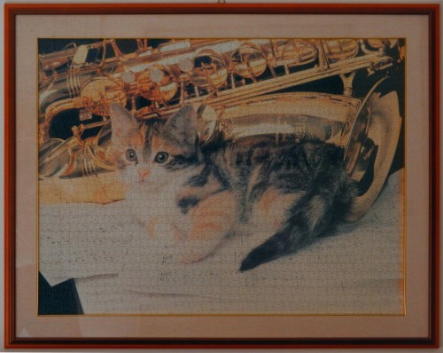cat1500_Raven.jpg