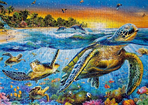sea-turtles-15147.jpg