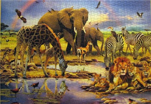 905e8281d355.jpg (117.42 КБ) 1684 просмотра 905e8281d355.jpg