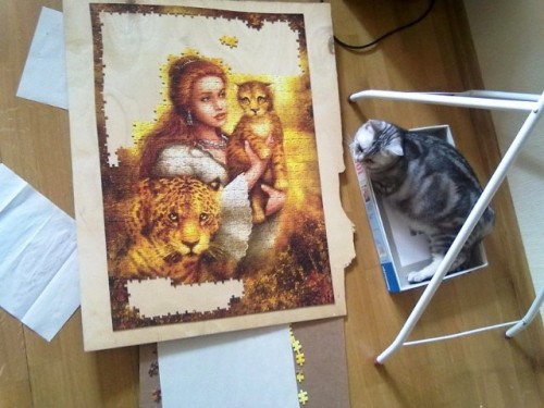 583d075467fe.jpg (70.01 КБ) 1162 просмотра 583d075467fe.jpg