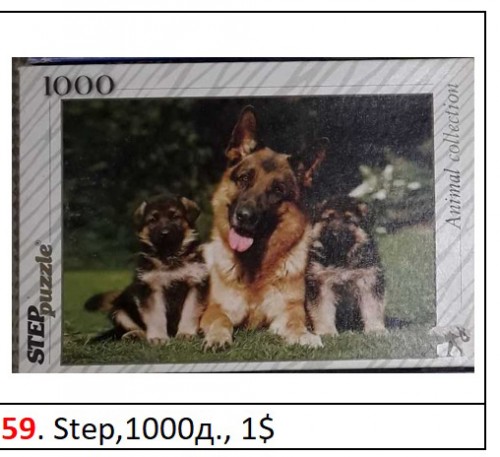 017 - собаки.jpg