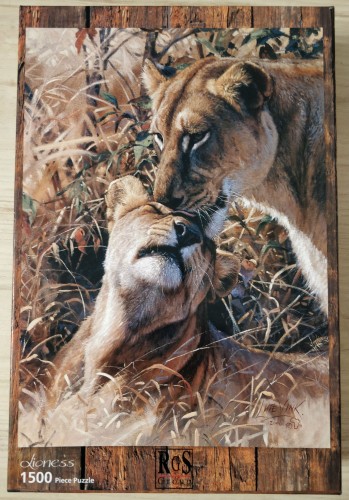 RGS Group 1500 Lioness.jpg