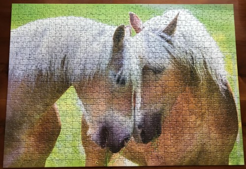 Ravensburger. Tender Moment. Момент нежности. 1000. Арт. 19485 8.JPG (2.91 МБ) 427 просмотров Ravensburger. Tender Moment. Момент нежности. 1000. Арт. 19485 8.JPG