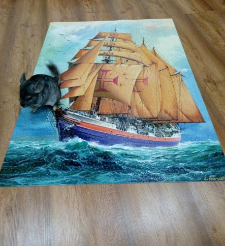 WhatsApp Image 2020-01-15 at 16.15.23.jpeg