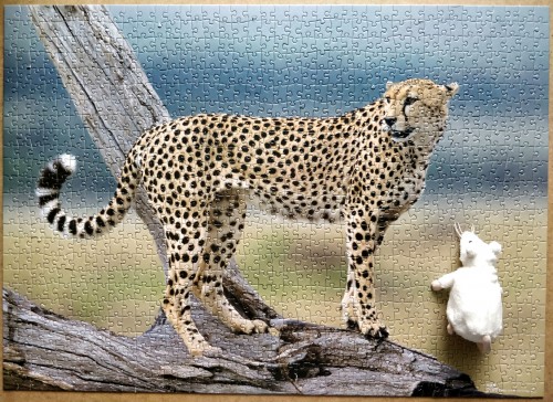 69.jpg (2.2 МБ) 812 просмотров 69.jpg